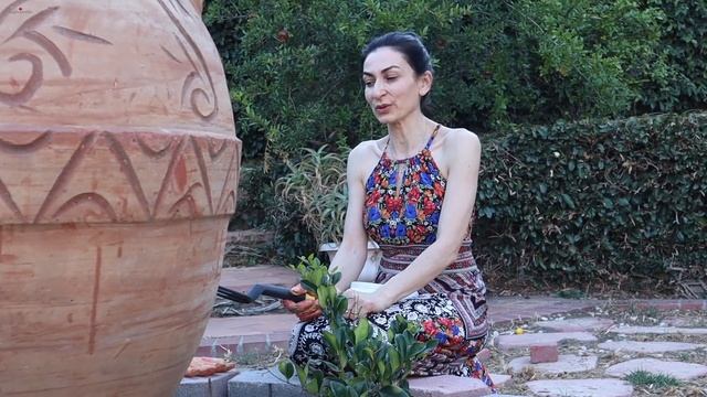 Бабушкин Рецепт Лапша с Помидором - Сажаю Чеснок - Эгине - Heghineh Cooking Show In Russian