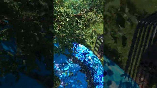 Shake-n-Drop Haskap/Honeyberries with (new) Manure Fork/Rake смотреть онлайн