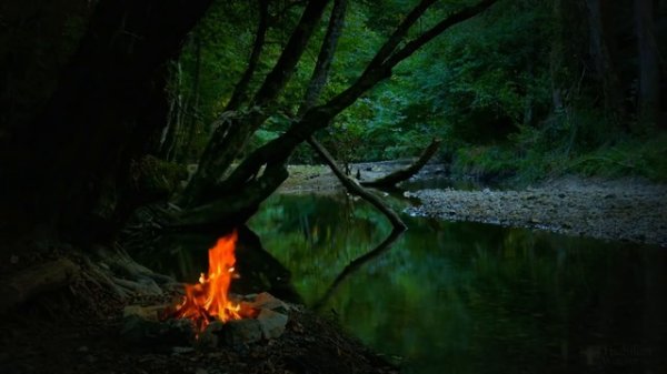 ASMR ART, Soundgasm, RELAX, MOANING, “AB IGNE IGNEM“ #asmrart