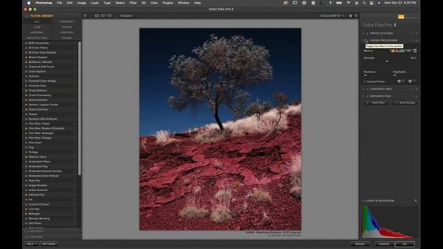 Go Beyond Basic Editing Using Adobe Photoshop with Nik Collection смотреть онлайн