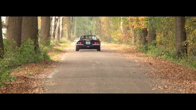 FERRARI 246 GT DINO - 1972 | GALLERY AALDERING TV смотреть онлайн