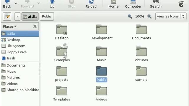 Nautilus 2.20 Undo/Redo (WiP) смотреть онлайн