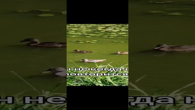 Цените жизнь смотреть онлайн