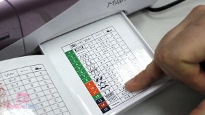 Обзор швейной машины Bernette Milan 5 // КАК РАБОТАЕТ ТЯЖЕЛАЯ МЕХАНИКА?