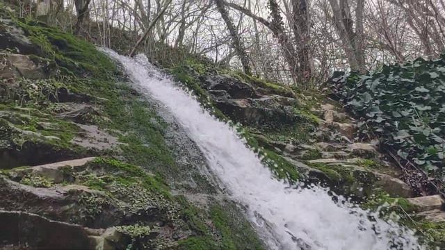 Лазаревское.В БЕРЕНДЕЕВОМ ЦАРСТВЕ живёт кот Берендей. смотреть онлайн