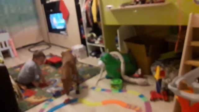 Чирнеко Шкода. Новые сапожки