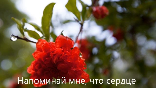 Антуан де Сент-Экзюпери "Молитва" смотреть онлайн