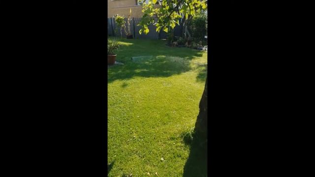 Gardena Hauswasserwerk eco 4000 5 смотреть онлайн