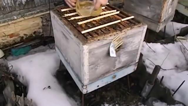весенние подкормки пчел - 2 - сахарный сироп - март на пасеке смотреть онлайн
