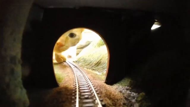 Do you still want to ride this train? A love hug for you from Kelly and Terry. смотреть онлайн