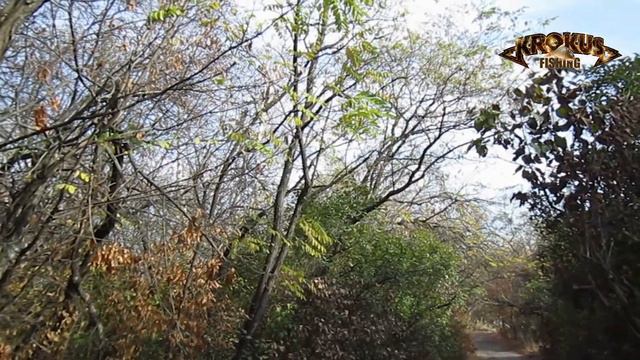 Карповая рыбалка. Прощание с летом. смотреть онлайн
