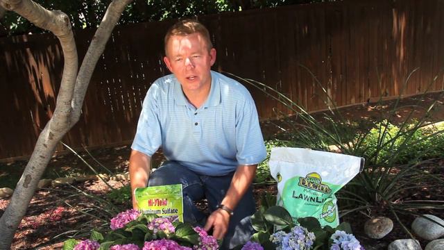 HOW TO CHANGE YOUR HYDRANGEA'S COLOR смотреть онлайн