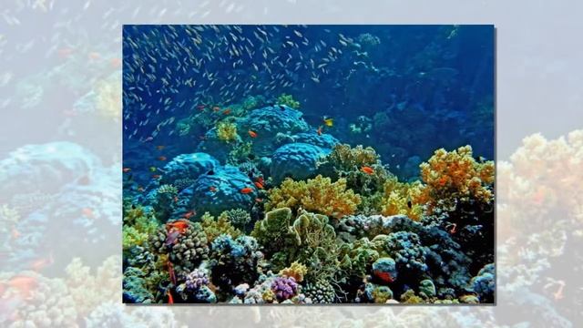 Отдых В Египте. Пляж Макади-Бэй (Makady-Bay Beach) смотреть онлайн