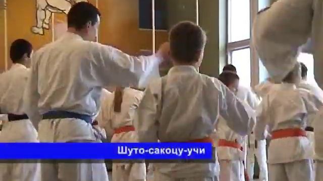 Дан Тест в киокушинкай каратэ (Часть 1) /Dan Test Kyokushin karate смотреть онлайн