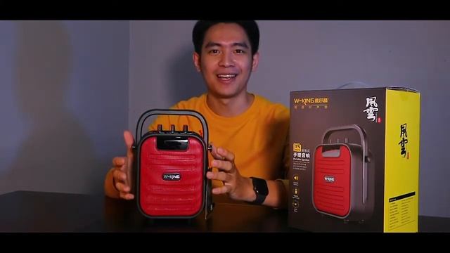 Why W-King T5 MINI??? смотреть онлайн