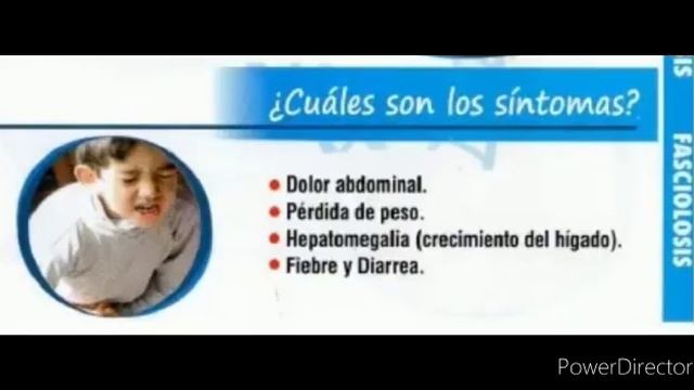 fasciola hepatica смотреть онлайн