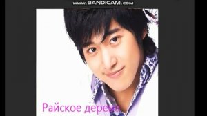 Ли Ван. Список дорам.