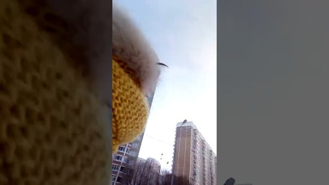 Каток во дворе смотреть онлайн