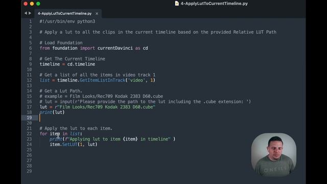 Apply A LUT Automatically To All Clips In The Timeline With Python In DaVinci Resolve.