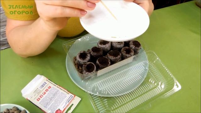 Посев Петунии из Семян в Торфяные Таблетки 2020. Советы от Зеленого Огорода. смотреть онлайн