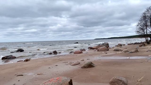 БАЛТИЙСКОЕ МОРЕ, ФИНСКИЙ ЗАЛИВ. Поздняя осень. Шелест волн смотреть онлайн