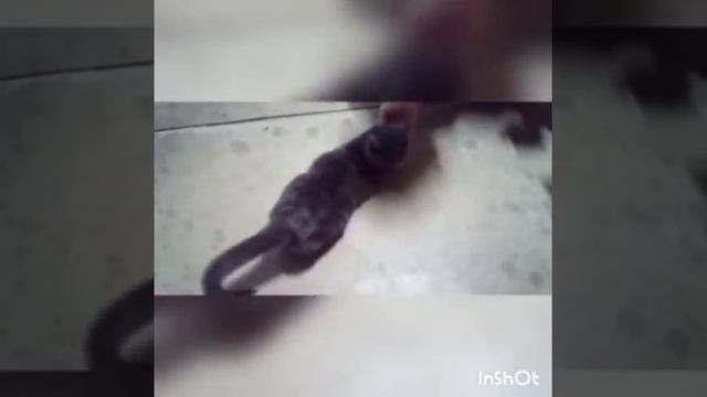 Зимний день. В ожидании сказки смотреть онлайн