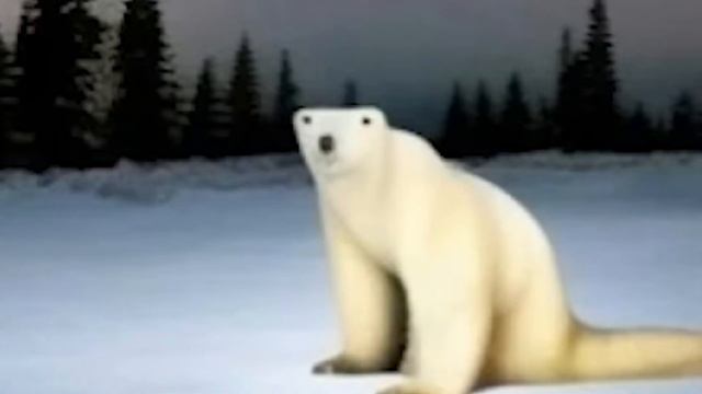 ЧТО ДЕЛАТЬ ЕСЛИ НАПАЛ ПОЛЯРНЫЙ МЕДВЕДЬ В АФРИКЕ!?!?!! ГАЙД НА ЖОПУ МЕДВЕДЯ смотреть онлайн