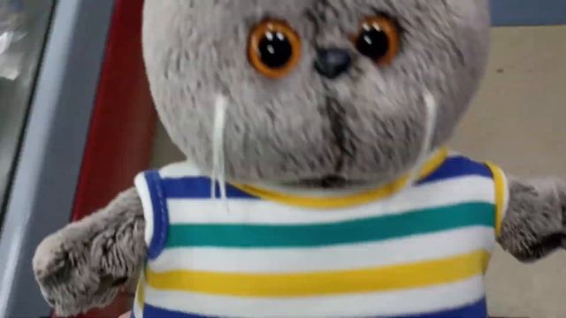 Влог с БАСИКОМ в магазине✨?. смотреть онлайн