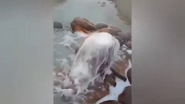 Горящая вода. Россия Калмыкия Меклетинское (розовое)озеро (2) смотреть онлайн