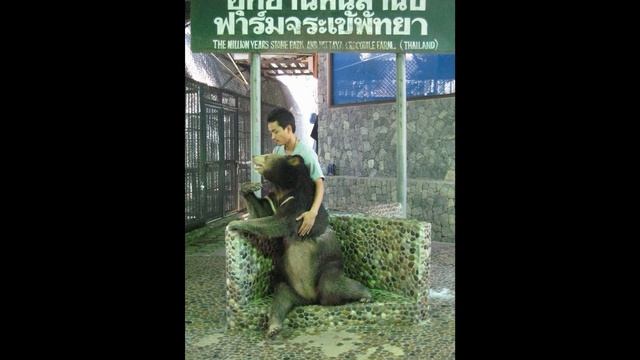 Thai Pattaya 20111115 Контакты с тиграми в Парке миллионолетних камней, Паттайя Таиланд смотреть онлайн