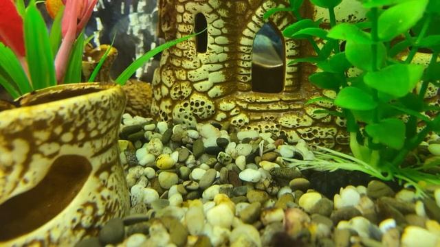 Изучаем Legal English вместе: Tort Law; Criminal Law/27.07.22 11:25 смотреть онлайн