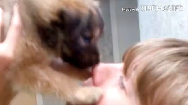 Это просто няшное видео ОНО ПРО ЩЕНКА МОЕЙ ПОДРУГИ|°•✓•° °•∆•° смотреть онлайн