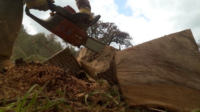 Homelite CSP 4518 from 2006 to 2020 cutting dry oak смотреть онлайн