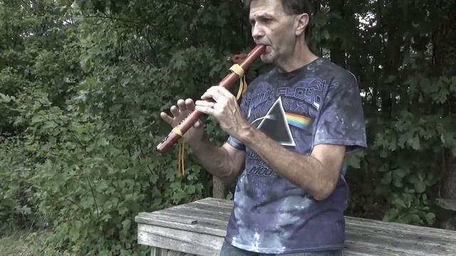 Dust in the Wind - Kansas (Native American Flute Cover) смотреть онлайн