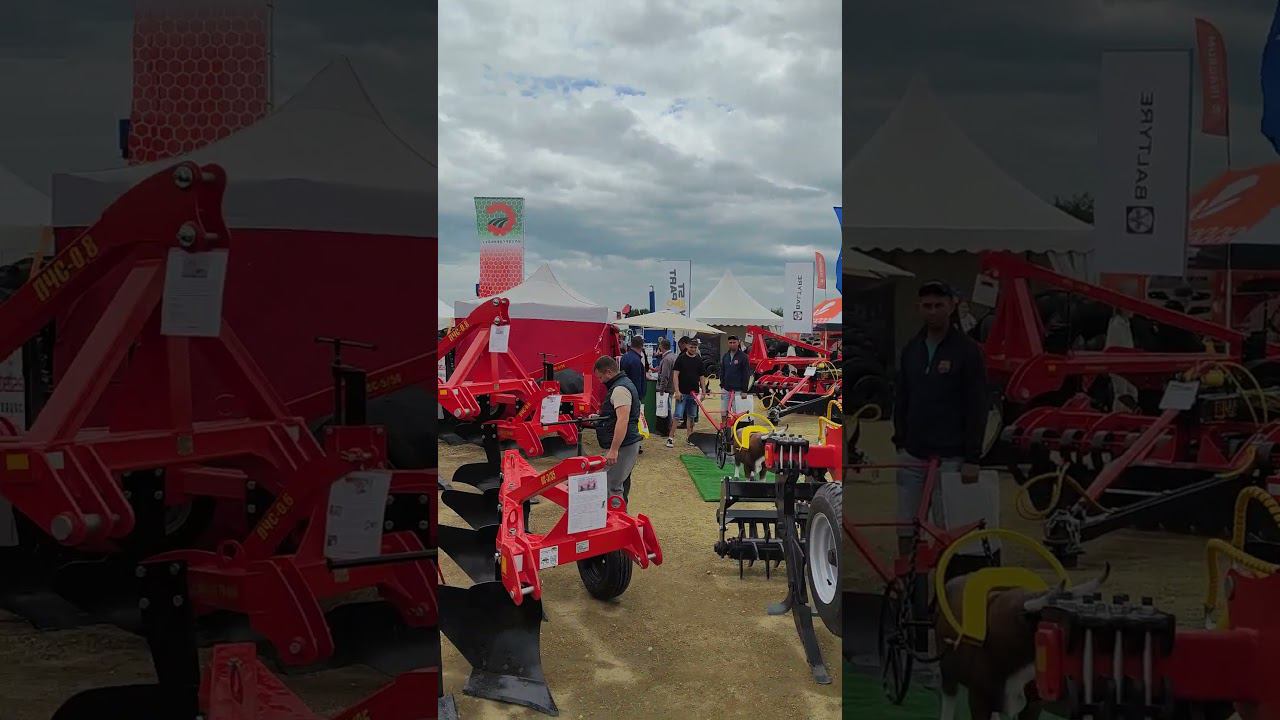 "Золотая Нива 2024" - день второй. #ипсергиенко #золотаянива2024 #трактор смотреть онлайн