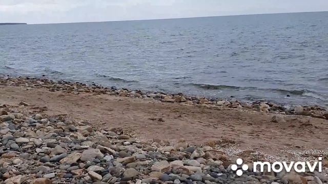 #Ейск?Две землячки. Неизведанные тропы.Морское побережье. Сало-цена? Весна?Пчелы работают. смотреть онлайн