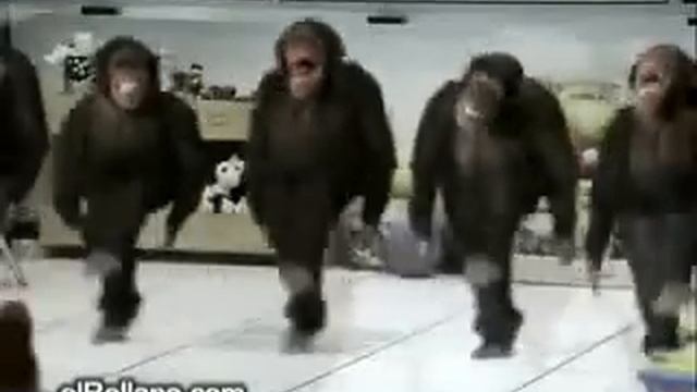 Танцы Макак