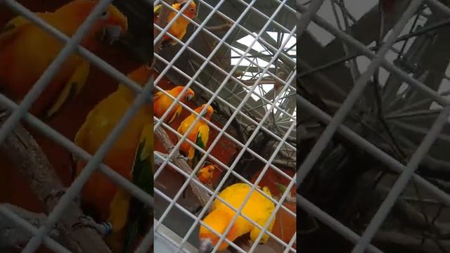 China?(Yangzhou) смотреть онлайн