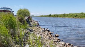 Уха из карася. Озеро Ханка, рыбалка, уха и прожорливая чайка...