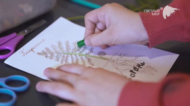 проект педагогика смотреть онлайн