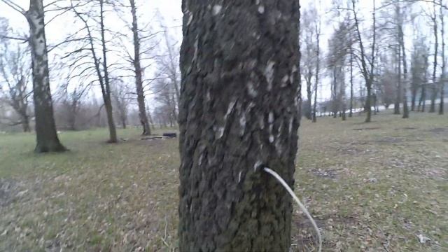 Березовый сок - это просто. часть 2 смотреть онлайн