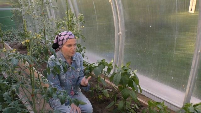 Как формировать перцы смотреть онлайн