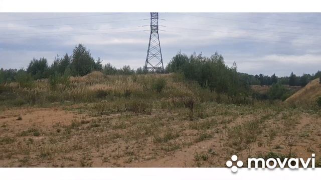 Первая ловля серой куропатки на ловушек смотреть онлайн