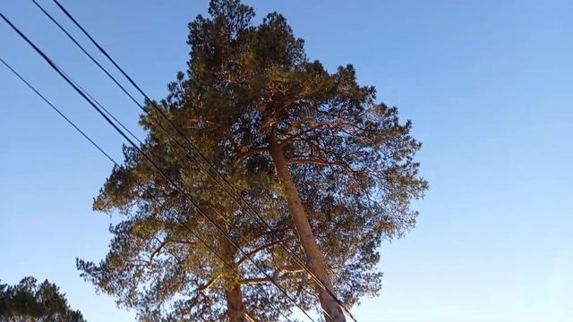 Микрорайон 1 в Озерах, Московская область. смотреть онлайн