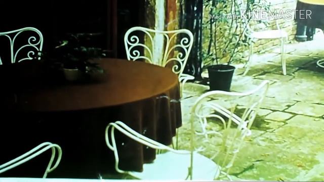 Хорошая ли память у слонов? Степа вернулся!!!@А знаете ли вы?@ смотреть онлайн