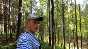 Путь...По рекам Севера из Архангельской области в Вологодскую,по реке Уфтюга,до деревни Шевелёвка.