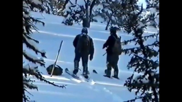 Горе охотники на медведя Grief Bear Hunters