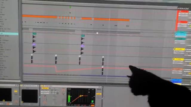 кошака смотреть онлайн