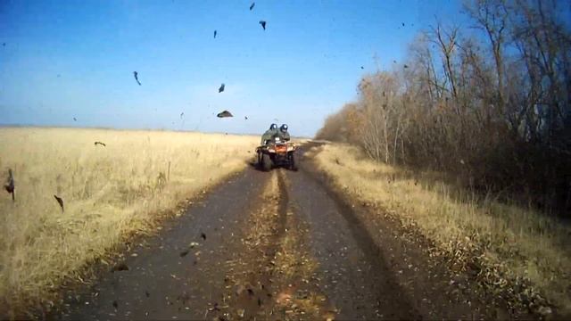 кататься на квадроцикле в Воронеже смотреть онлайн