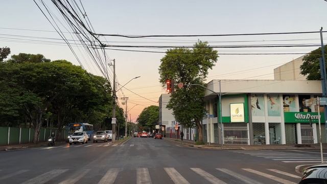 Игуасу за день, Парк птиц, угол трёх стран, из Аргентины в Убатубу на машине #ТудаОбратноСветка ч.7 смотреть онлайн